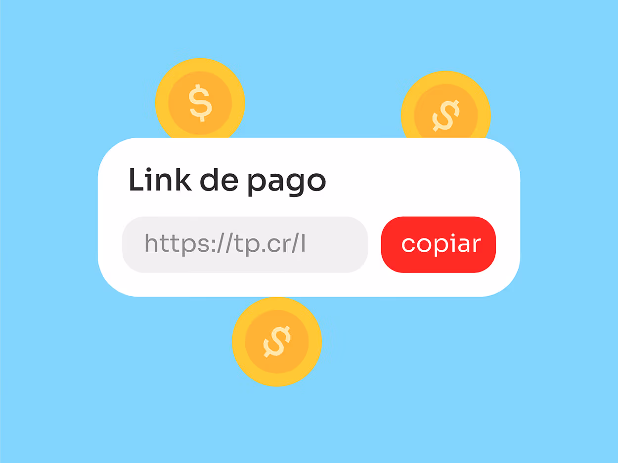 What is a Payment Link?
